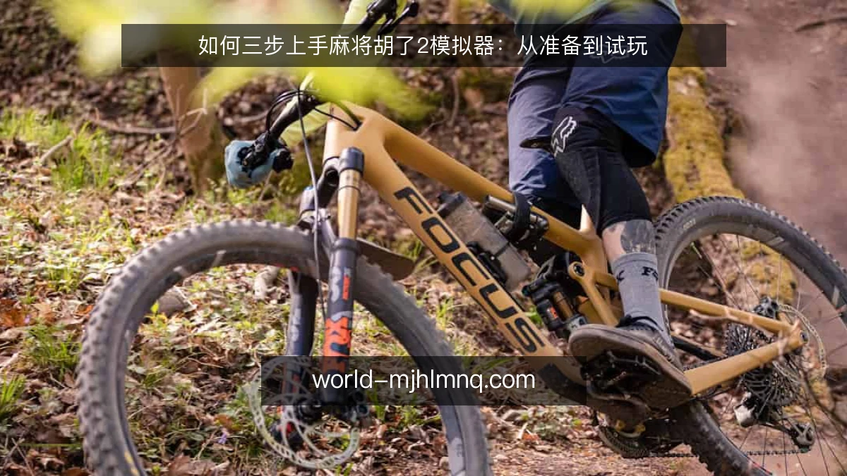 如何三步上手麻将胡了2模拟器：从准备到试玩