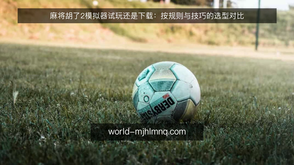 麻将胡了2模拟器试玩还是下载:按规则与技巧的选型对比